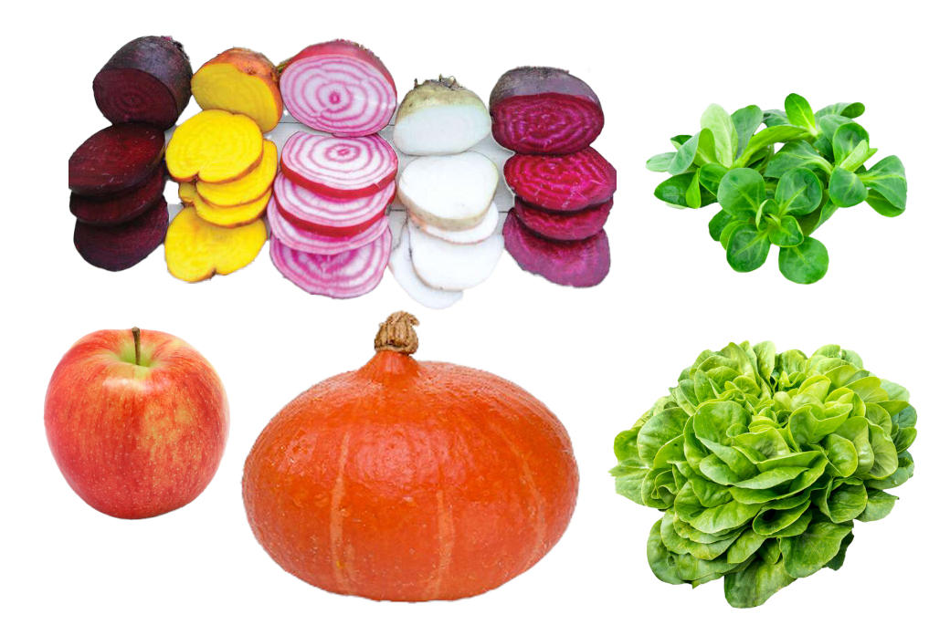 Gemüse und Obst im Bio.Markt